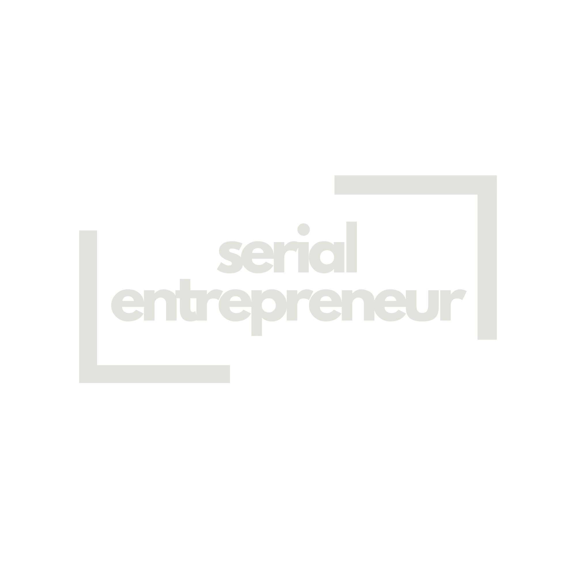 Serial Entrepreneur
